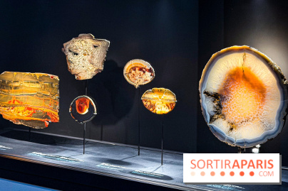 Rêveries de pierres : l'exposition rétrospective gratuite à l'Ecole des Arts Joailliers - IMG 0070