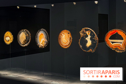 Rêveries de pierres : l'exposition rétrospective gratuite à l'Ecole des Arts Joailliers - IMG 0119