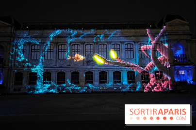 En voie d'illumination : Lumières de la nature : le festival nocturne hivernal du Jardin des Plantes - fotor 1762431466628