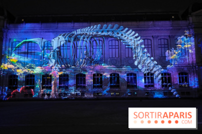 En voie d'illumination : Lumières de la nature : le festival nocturne hivernal du Jardin des Plantes - fotor 1762431492963