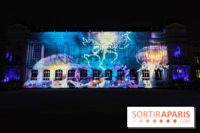 En voie d'illumination : Lumières de la nature : le festival nocturne hivernal du Jardin des Plantes - fotor 1762431514038