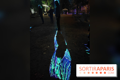 En voie d'illumination : Lumières de la nature : le festival nocturne hivernal du Jardin des Plantes - fotor 1762431261369