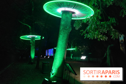 En voie d'illumination : Lumières de la nature : le festival nocturne hivernal du Jardin des Plantes - fotor 1762431293928