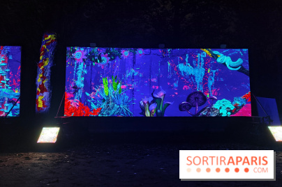 En voie d'illumination : Lumières de la nature : le festival nocturne hivernal du Jardin des Plantes - fotor 1762431355748
