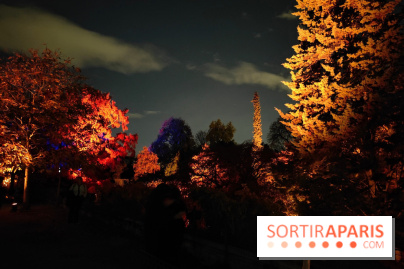 En voie d'illumination : Lumières de la nature : le festival nocturne hivernal du Jardin des Plantes - fotor 1762431370942