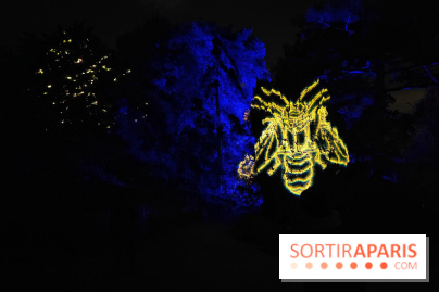 En voie d'illumination : Lumières de la nature : le festival nocturne hivernal du Jardin des Plantes - fotor 1762431441677