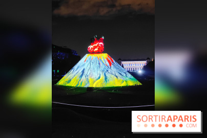En voie d'illumination : Lumières de la nature : le festival nocturne hivernal du Jardin des Plantes - fotor 1762431248105