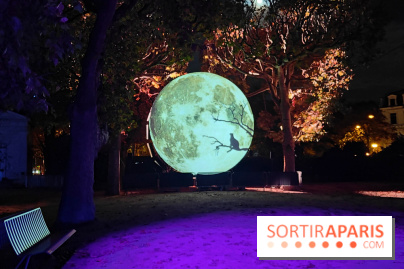 En voie d'illumination : Lumières de la nature : le festival nocturne hivernal du Jardin des Plantes - fotor 1762431759366