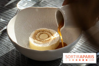 Bûche de Noël du Jules Verne : Voyage Extraordinaire - A7C09621