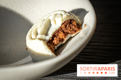 Bûche de Noël du Jules Verne : Voyage Extraordinaire - A7C09623