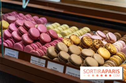 Bûches de Noël du jardin Sucré 2025