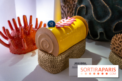 Bûches de Noël et créations de fête 2025 de Pierre Hermé : les Abysses - A7C07827