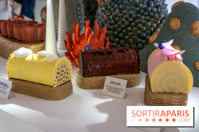 Bûches de Noël et créations de fête 2025 de Pierre Hermé : les Abysses