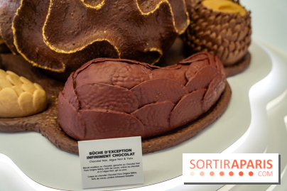 Bûches de Noël et créations de fête 2025 de Pierre Hermé : les Abysses