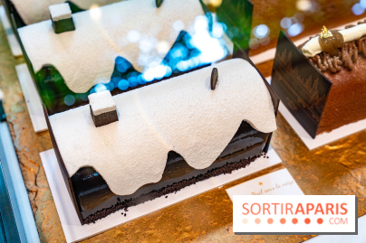 Bûche de Noël Lenôtre 2025 : Le train des Merveilles et les créations de fête - photos - A7C07607