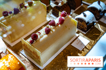 Bûche de Noël Lenôtre 2025 : Le train des Merveilles et les créations de fête - photos - A7C07610