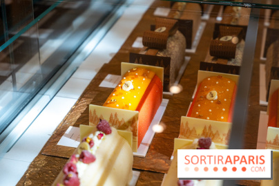 Bûche de Noël Lenôtre 2025 : Le train des Merveilles et les créations de fête - photos - A7C07614