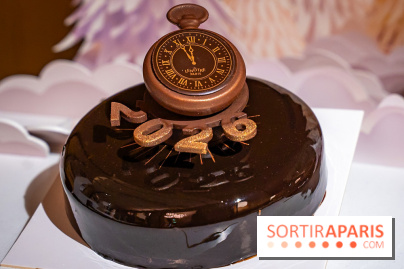 Bûche de Noël Lenôtre 2025 : Le train des Merveilles et les créations de fête - photos - A7C07621