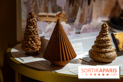 Bûche de Noël Lenôtre 2025 : Le train des Merveilles et les créations de fête - photos - A7C07623