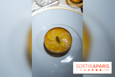 Bûche de Noël Lenôtre 2025 : Le train des Merveilles et les créations de fête - photos - A7C07625