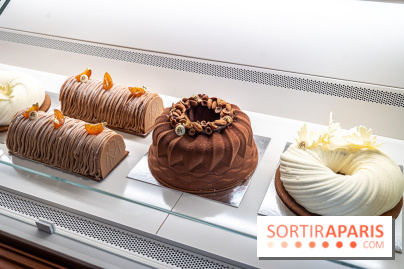 Bûches de Noël de la Pâtisserie Matthieu Pauline Paris 7e - A7C07758