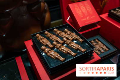 Bûches de Noël de Pascal Caffet 2025 et créations de fête - A7C08597