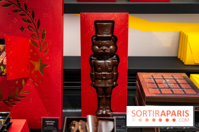 Bûches de Noël de Pascal Caffet 2025 et créations de fête - A7C08598