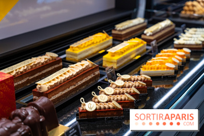 Bûches de Noël de Pascal Caffet 2025 et créations de fête - A7C08602