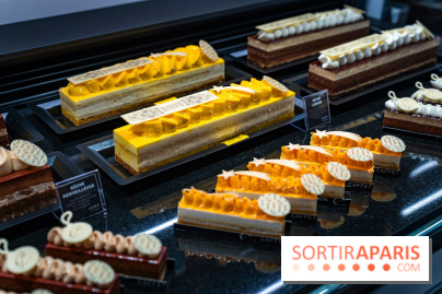 Bûches de Noël de Pascal Caffet 2025 et créations de fête - A7C08605