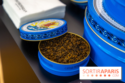 Bûche de Noël Opéra Garnier de la Maison du Chocolat 2025 - photos - A7C07788