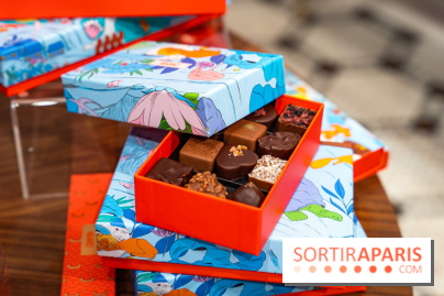 Bûche de Noël et créations de fête de Chapon 2025 - A7C07437