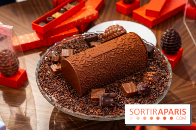 Bûche de Noël et créations de fête de Chapon 2025 - A7C07442