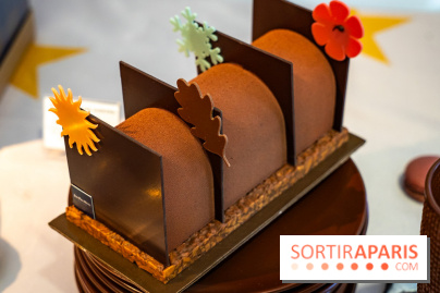 Les Bûches de Noël de Jean-Paul Hévin 2025 - A7C07589