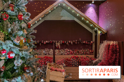 Les vitrines de Noël 2025 du Bon Marché : le grand magasin se métamorphose en (Bon) Marché de Noël - IMG 0630