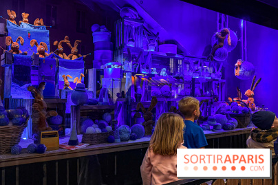 Les vitrines de Noël 2025 du Bon Marché : le grand magasin se métamorphose en (Bon) Marché de Noël - IMG 0682