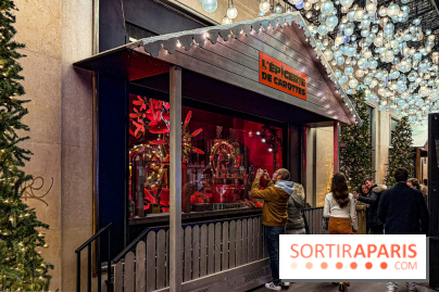 Les vitrines de Noël 2025 du Bon Marché : le grand magasin se métamorphose en (Bon) Marché de Noël - IMG 0709