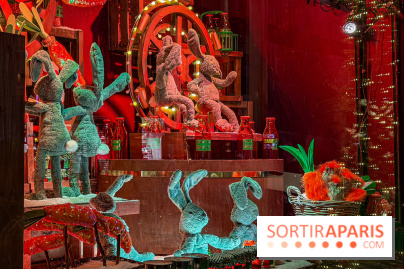 Les vitrines de Noël 2025 du Bon Marché : le grand magasin se métamorphose en (Bon) Marché de Noël - IMG 0711