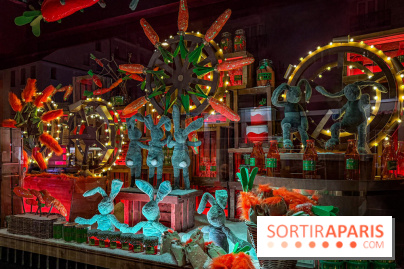 Les vitrines de Noël 2025 du Bon Marché : le grand magasin se métamorphose en (Bon) Marché de Noël - IMG 0715
