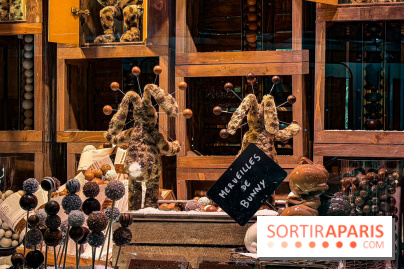 Les vitrines de Noël 2025 du Bon Marché : le grand magasin se métamorphose en (Bon) Marché de Noël - IMG 0726