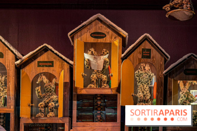 Les vitrines de Noël 2025 du Bon Marché : le grand magasin se métamorphose en (Bon) Marché de Noël - IMG 0732