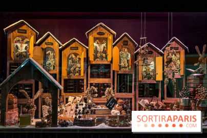 Les vitrines de Noël 2025 du Bon Marché : le grand magasin se métamorphose en (Bon) Marché de Noël - IMG 0734