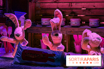 Les vitrines de Noël 2025 du Bon Marché : le grand magasin se métamorphose en (Bon) Marché de Noël - IMG 0755