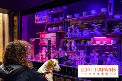 Les vitrines de Noël 2025 du Bon Marché : le grand magasin se métamorphose en (Bon) Marché de Noël - IMG 0762