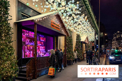 Les vitrines de Noël 2025 du Bon Marché : le grand magasin se métamorphose en (Bon) Marché de Noël - IMG 0769