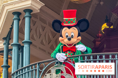 Noël à Disneyland Paris : Disney's Enchanted Christmas - IMG 0995