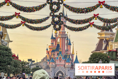 Noël à Disneyland Paris : Disney's Enchanted Christmas - château