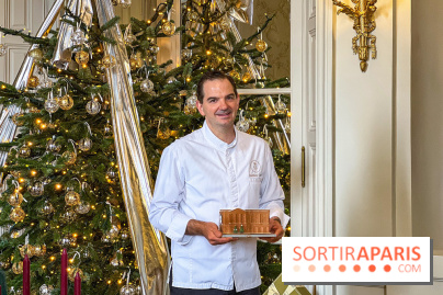 La Bûche de Noël 2025 de l'Hôtel de Crillon par Matthieu Carlin : le palace ... à croquer !