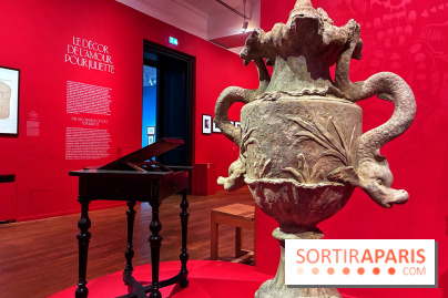 Victor Hugo décorateur  - IMG 0537