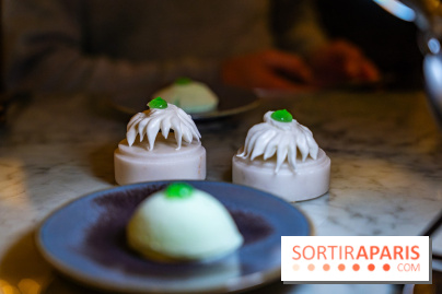 Florian Favario, le chef 2 étoiles en résidence au Lutetia, les photos - A7C00324