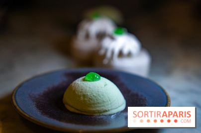 Florian Favario, le chef 2 étoiles en résidence au Lutetia, les photos - A7C00326